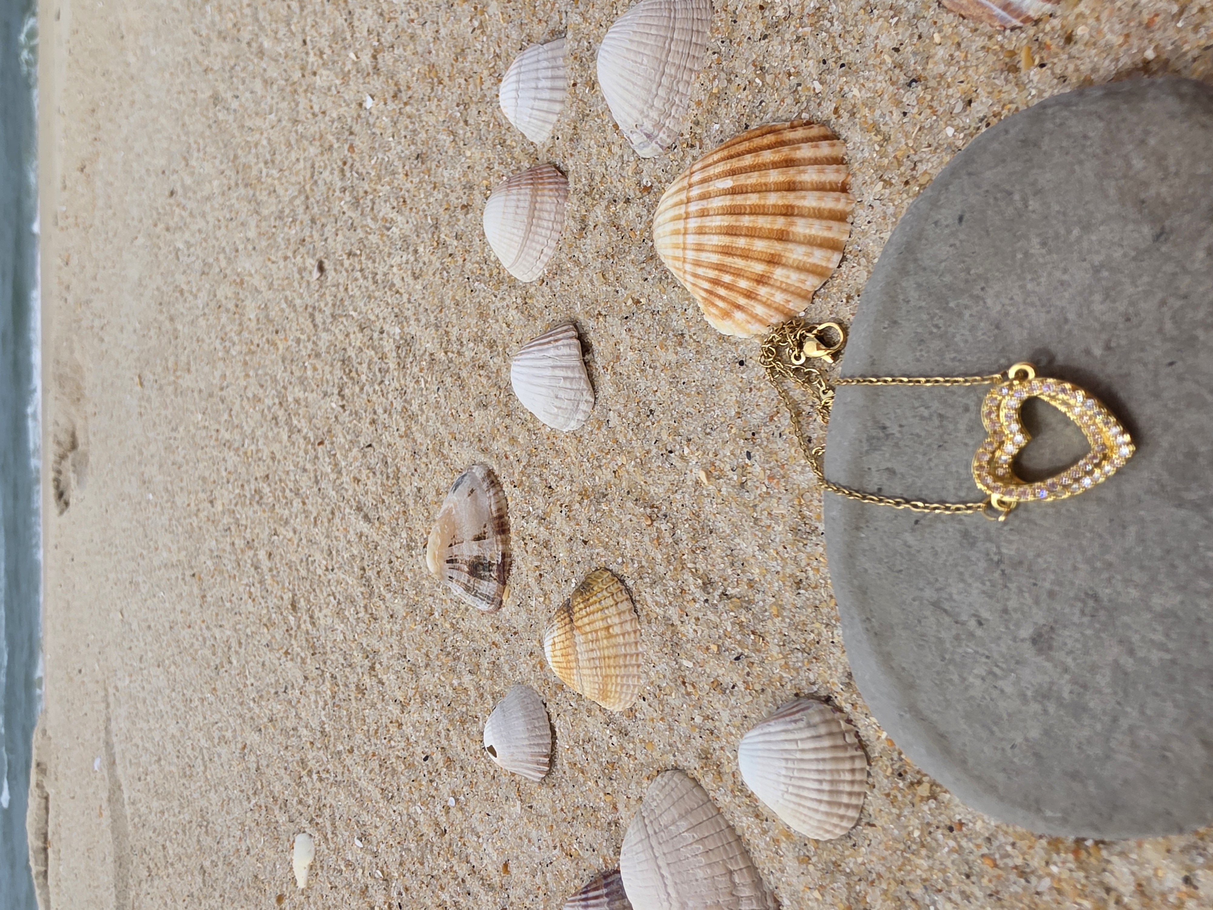 Collier Miami